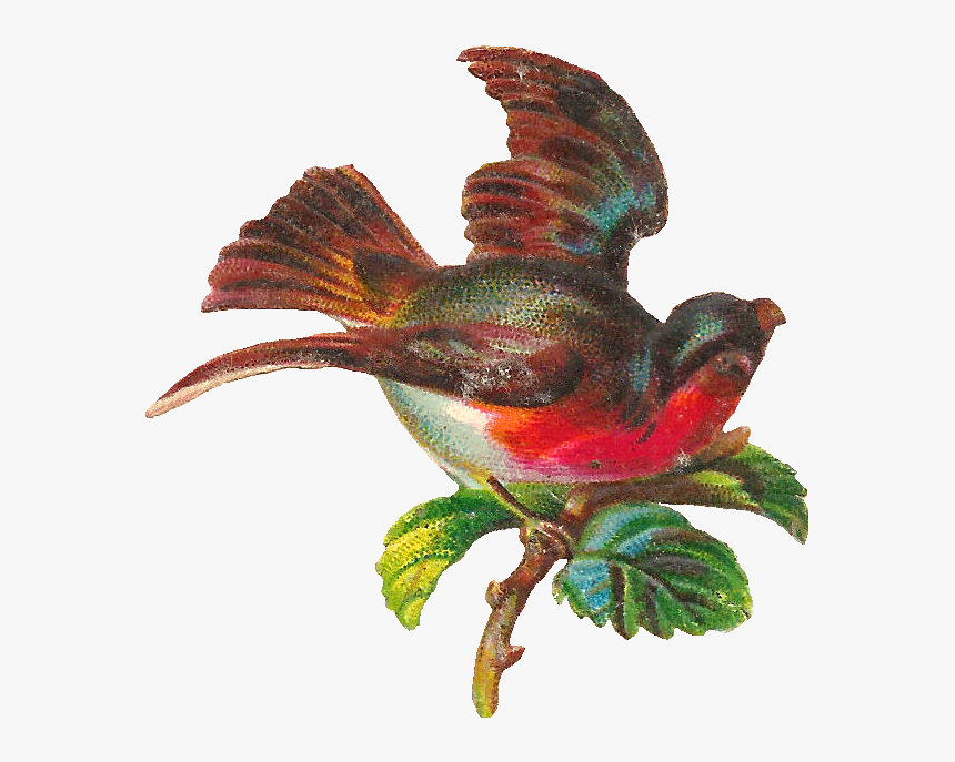 Free Digital Bird Clip Art - Clip Art, HD Png Download