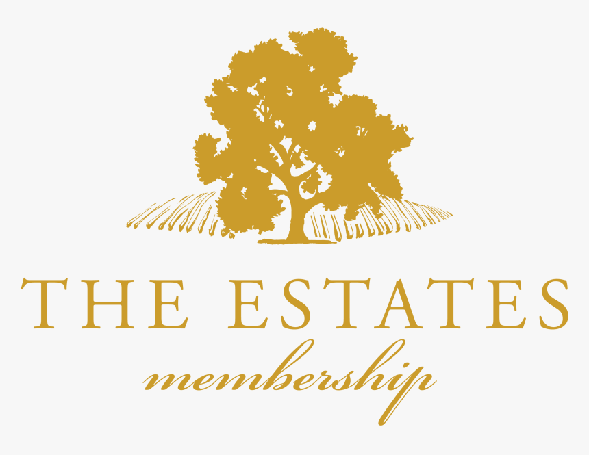 Graphic Design, HD Png Download