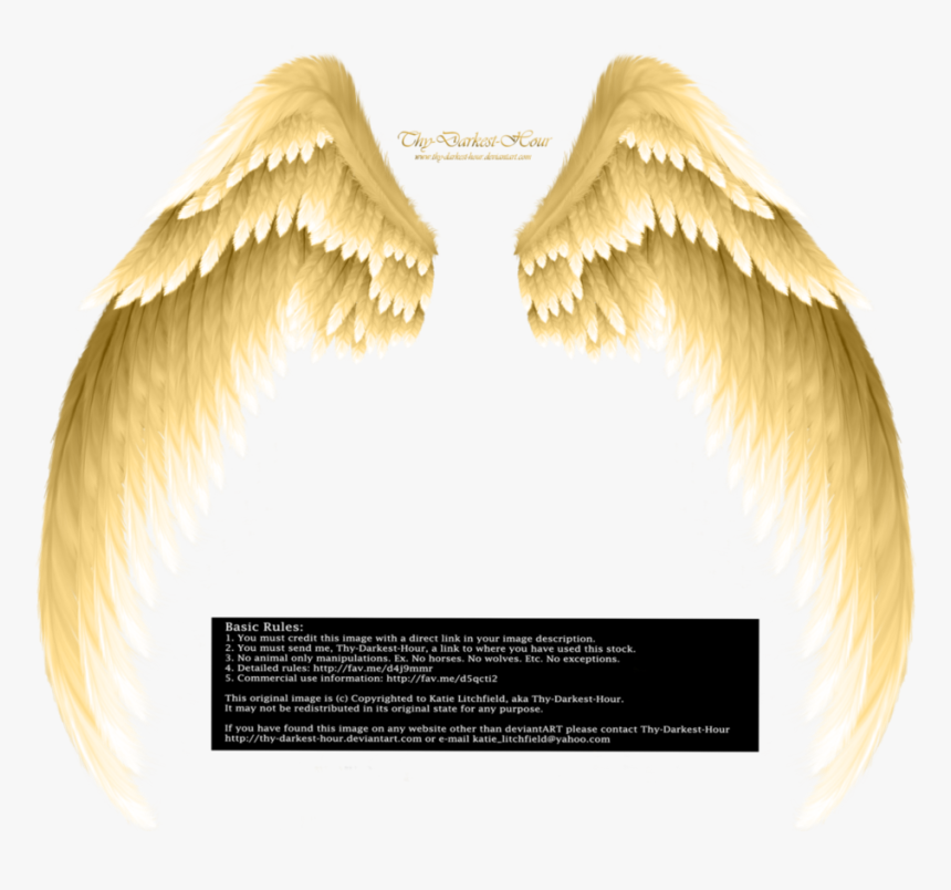 Angel Wings Png, Transparent Png