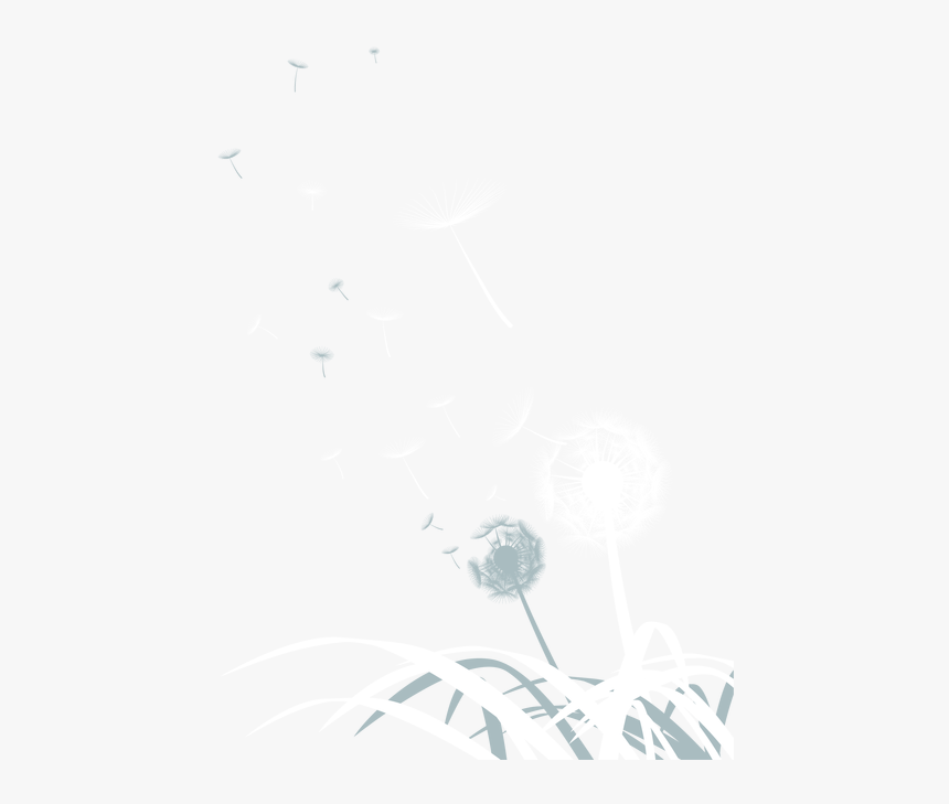 Dandelion Png Image Background - Monochrome, Transparent Png