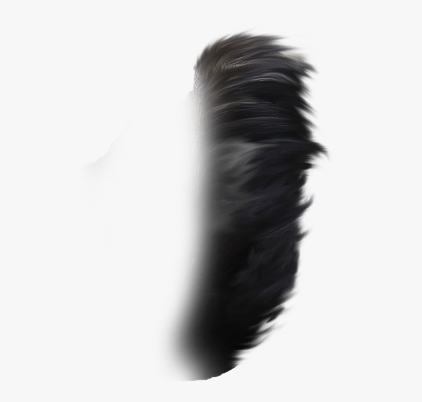 Lace Wig, HD Png Download