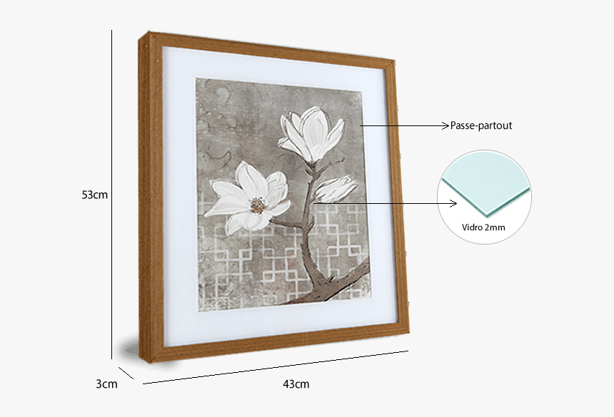 Quadro De Flor Branca, HD Png Download