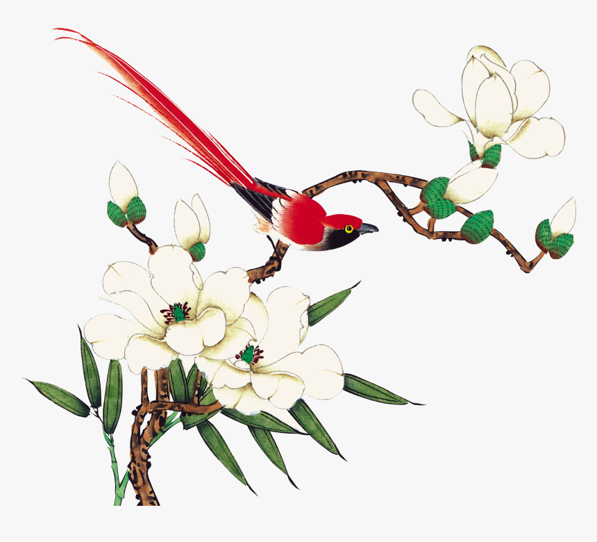 花鸟 水彩 高清, HD Png Download