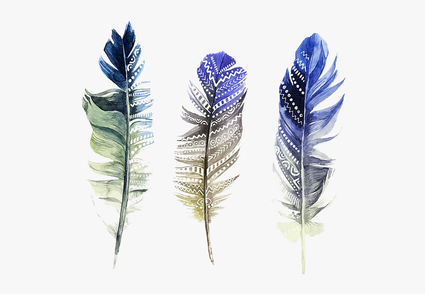 #featherset #feathers #feather #bohofeather #bohemian - Feather Watercolor Png, Transparent Png