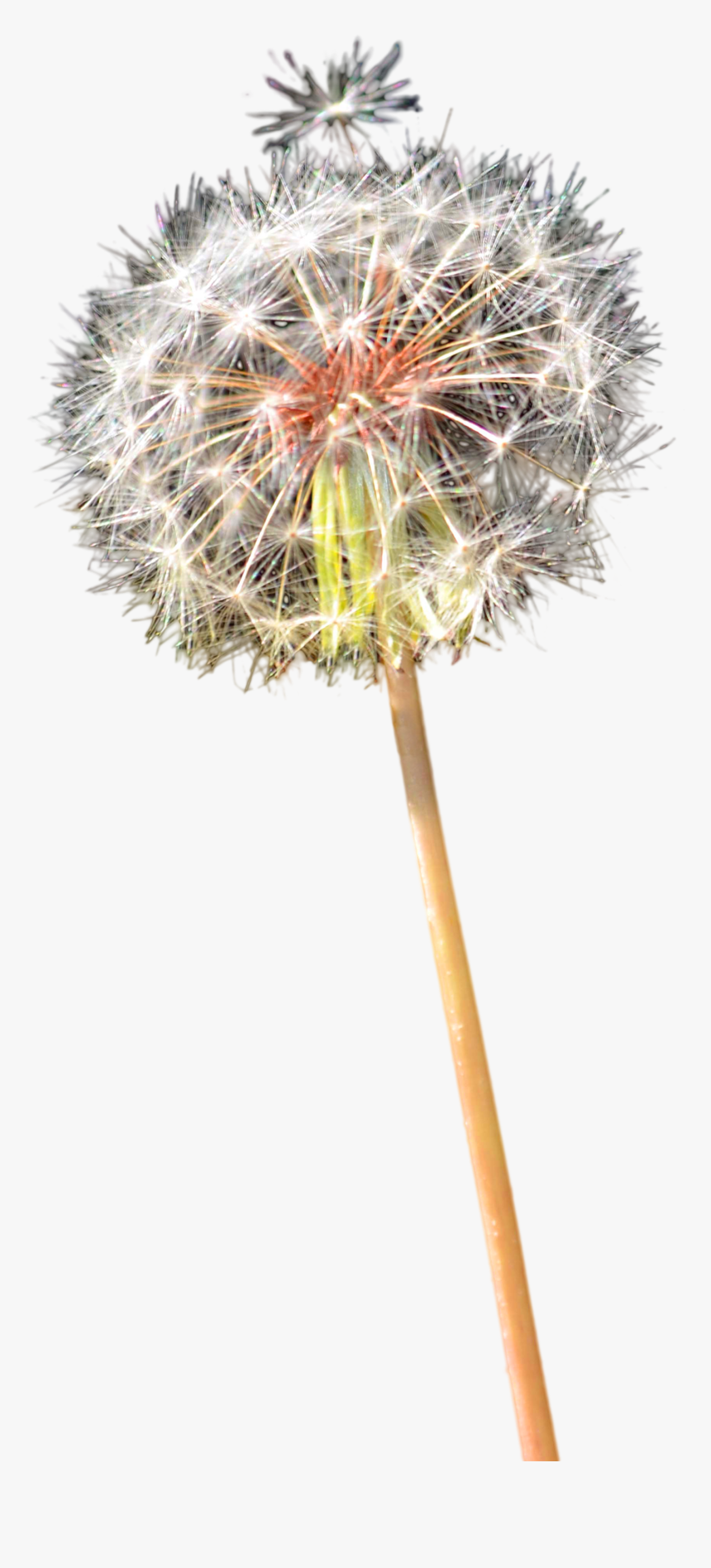 Portable Network Graphics, HD Png Download