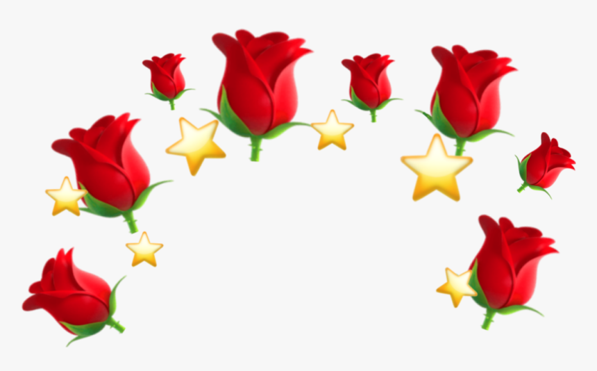 #emoji #crown #emojicrown #foryou #lol #sticker - Garden Roses, HD Png Download