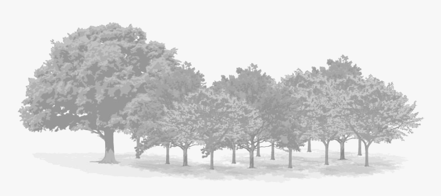 Green, HD Png Download