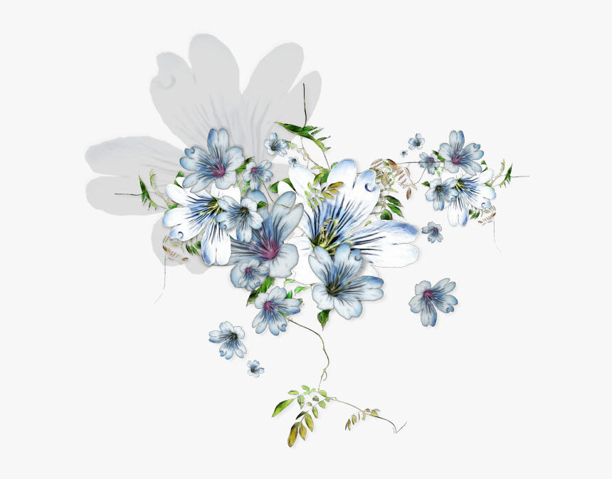 African Daisy, HD Png Download