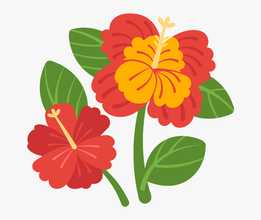 Zinnia Angustifolia, HD Png Download