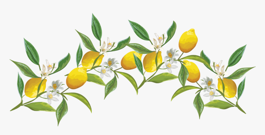 #lemon #fruitflower #flower #crown #flowercrown #ftestickers - Lemon Crown Transparent Png, Png Download