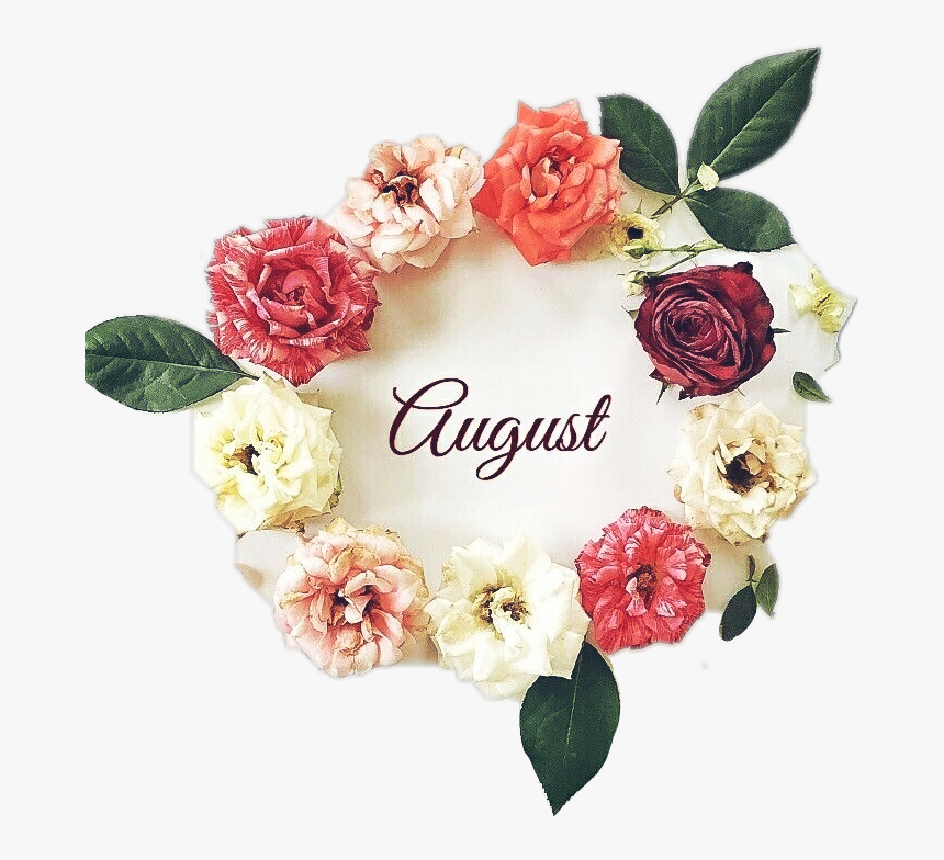 #helloaugust #august #aout #agosto #flower #ftestickers - Garden Roses, HD Png Download