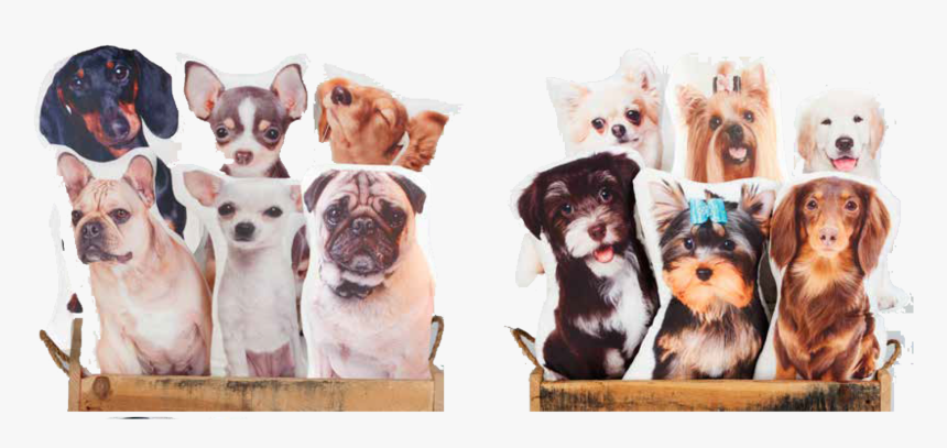 Cat Pillows, HD Png Download