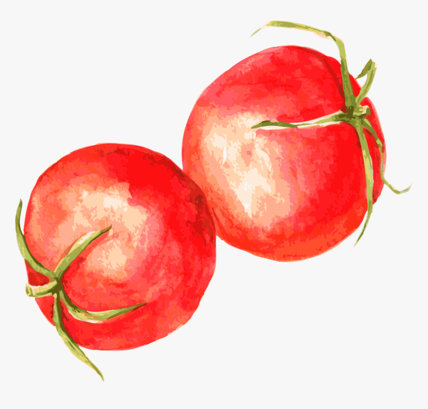 Apple, HD Png Download