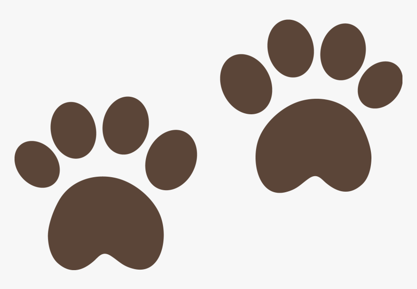 Patas De Urso Png, Transparent Png