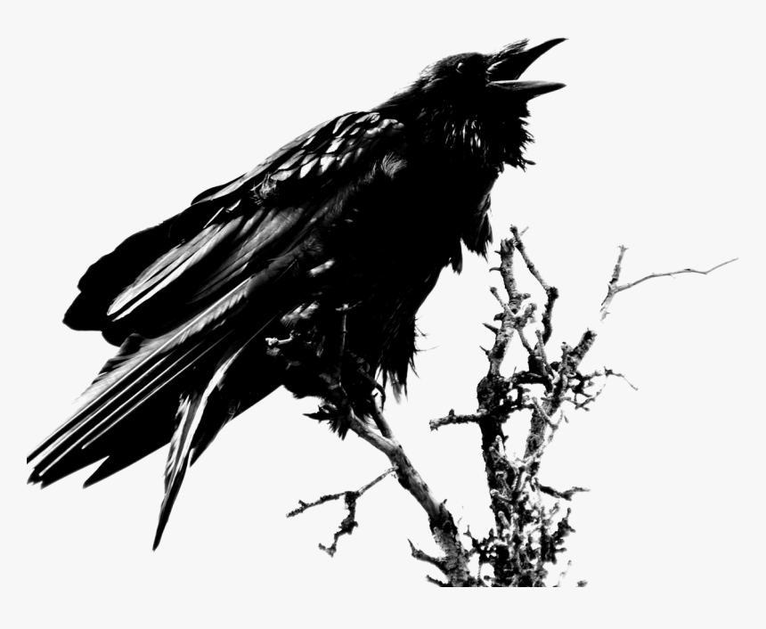 Art Edgar Allan Poe Raven, HD Png Download