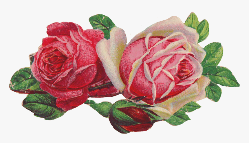 Rose Clip Art Victorian - Victorian Rose Clip Art, HD Png Download
