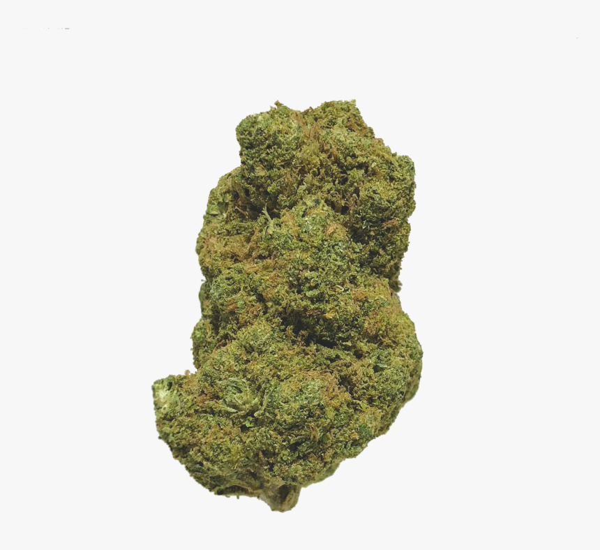 Moss, HD Png Download