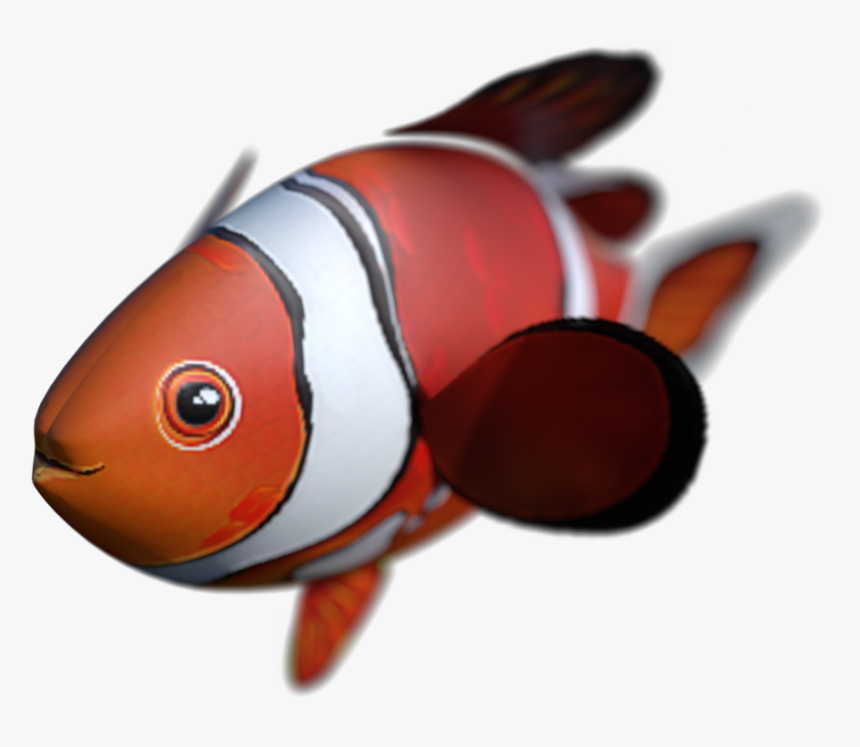 Goldfish, HD Png Download
