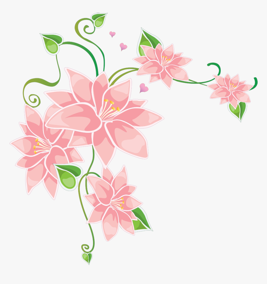 Stargazer Lily, HD Png Download