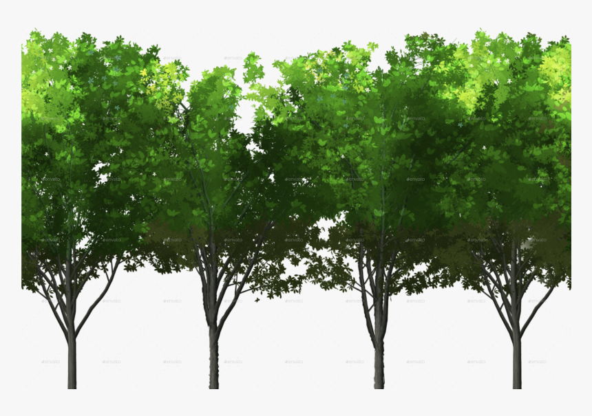 Png/design 0000s Foreground Trees , Png Download - Maidenhair Tree, Transparent Png