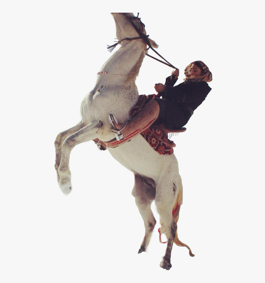 Horse Rider Cutout Png, Transparent Png