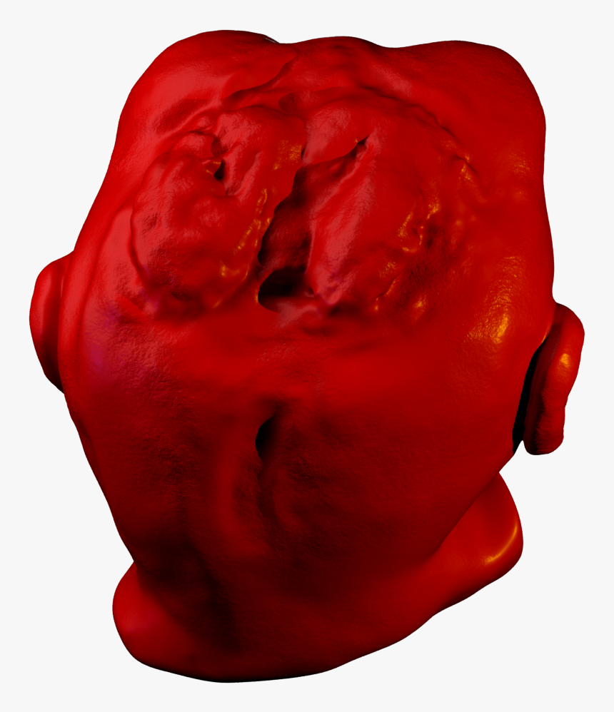 Rose, HD Png Download