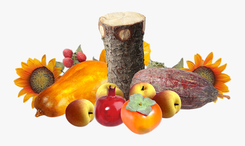 Tubes Fruits,tubes Legumes,clipart,png Fruit,psp,vector - Mcintosh, Transparent Png