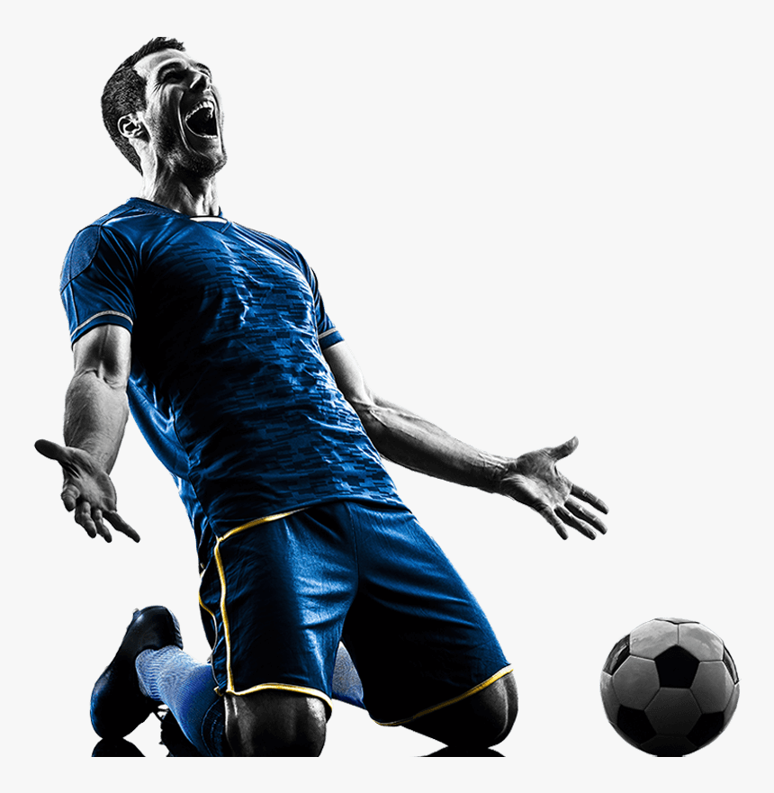 Https - //i2 - Wp - Com/takaroafc - Org - Illustration - Campeonato Amazonense 2019 Logo, HD Png Download