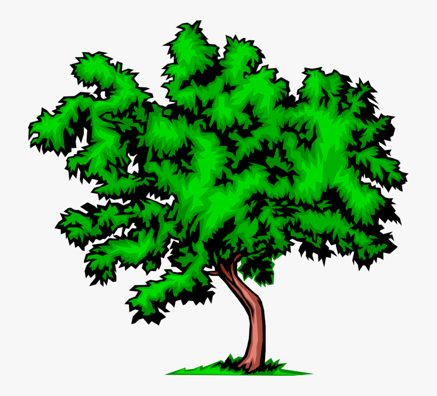 Vector Illustration Of Bushy Deciduous Tree - Diet Tree, HD Png Download
