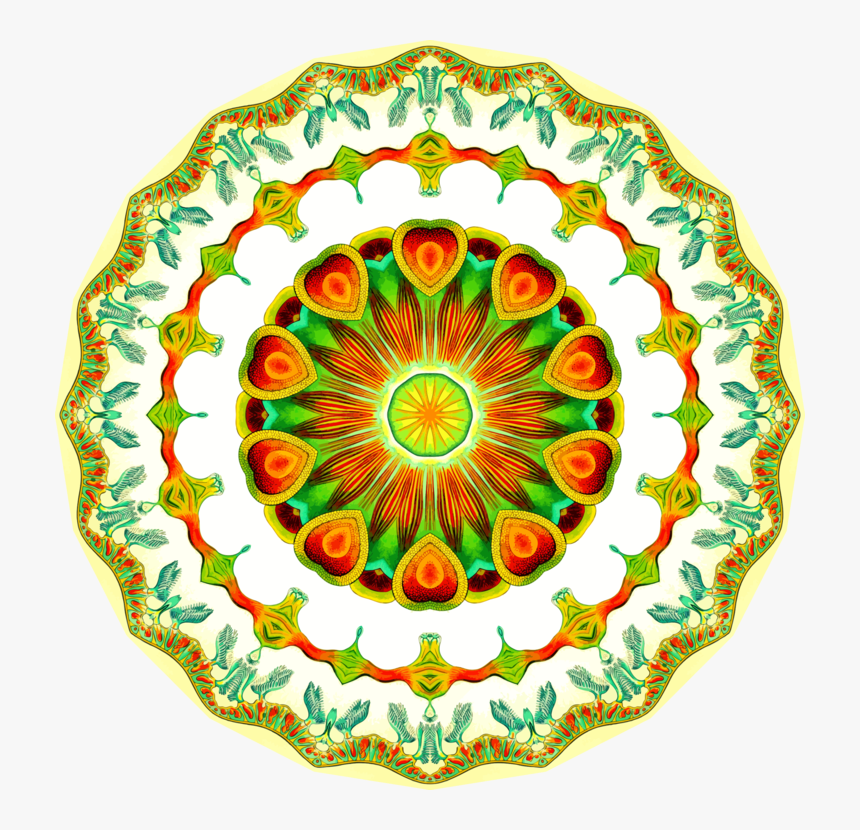 Flower,symmetry,area - Mandala, HD Png Download