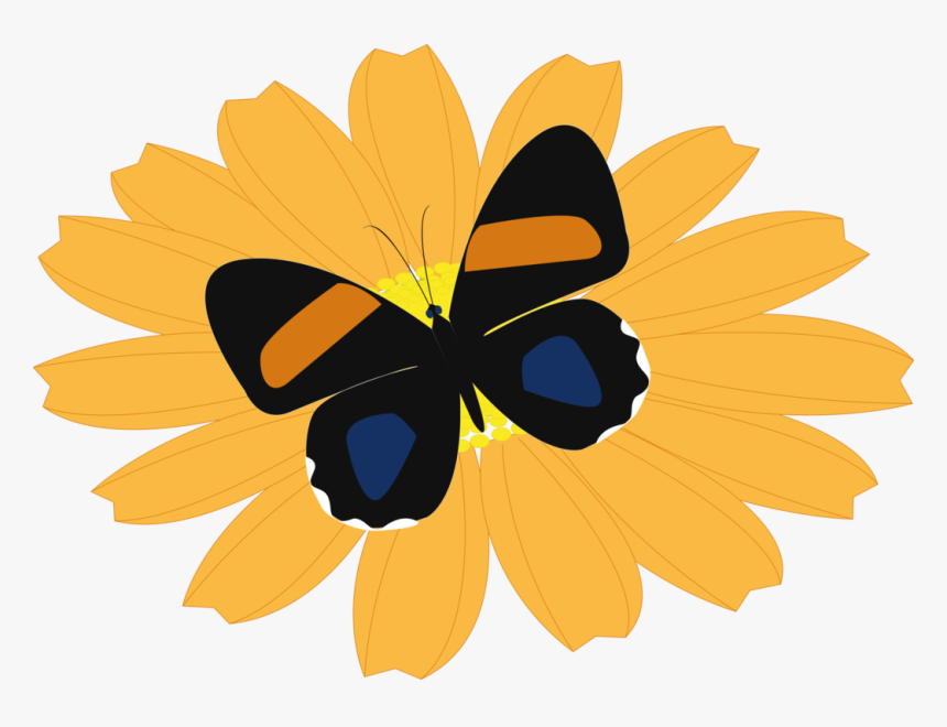 Butterfly,flower,honey Bee - Butterfly, HD Png Download