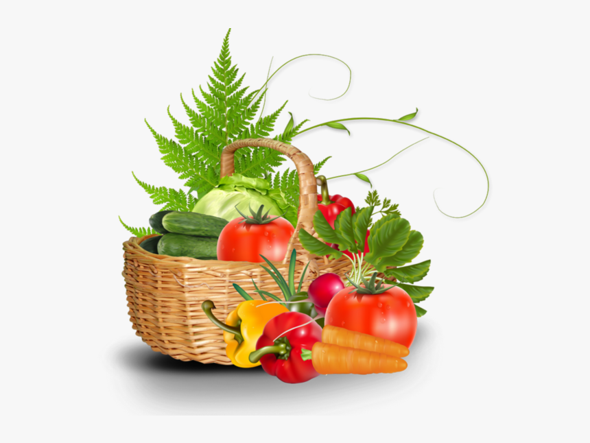 Fruits Et Légumes - Basket Vegetable Drawing, HD Png Download