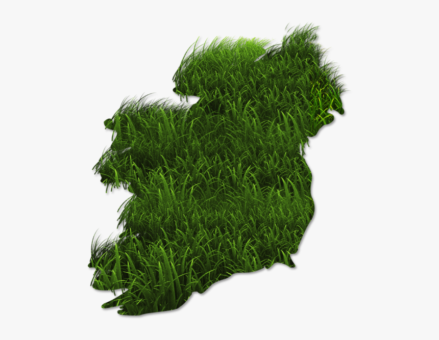 Grass Map - Non Vascular Plants Png, Transparent Png