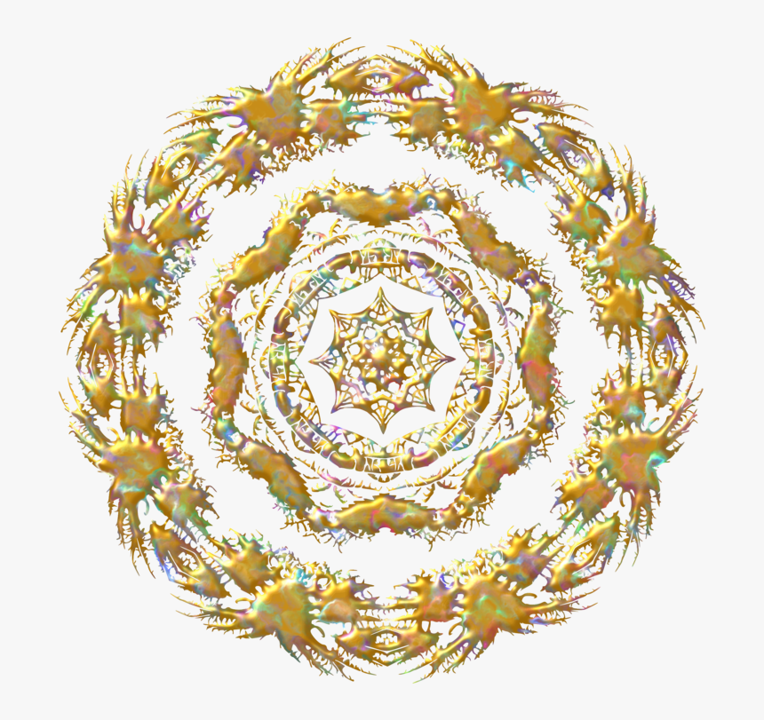 Circle,ornament,floral Design - Circle, HD Png Download