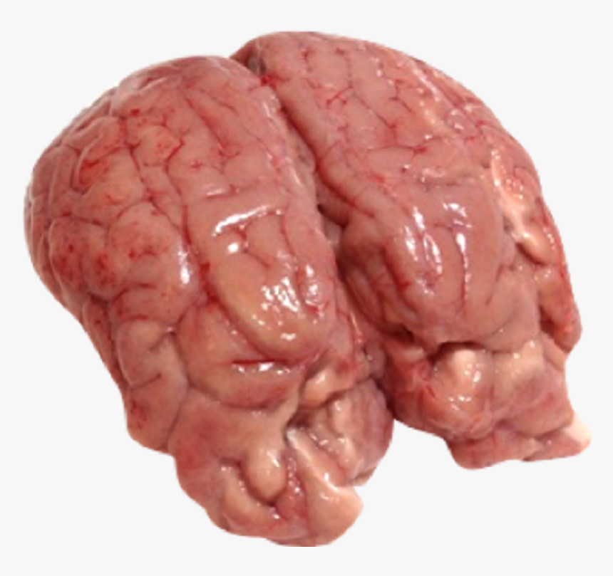 Brain Meat, HD Png Download