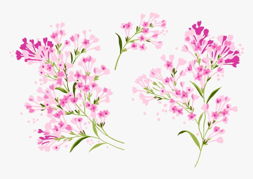 Lilac Png - Gilliflower, Transparent Png
