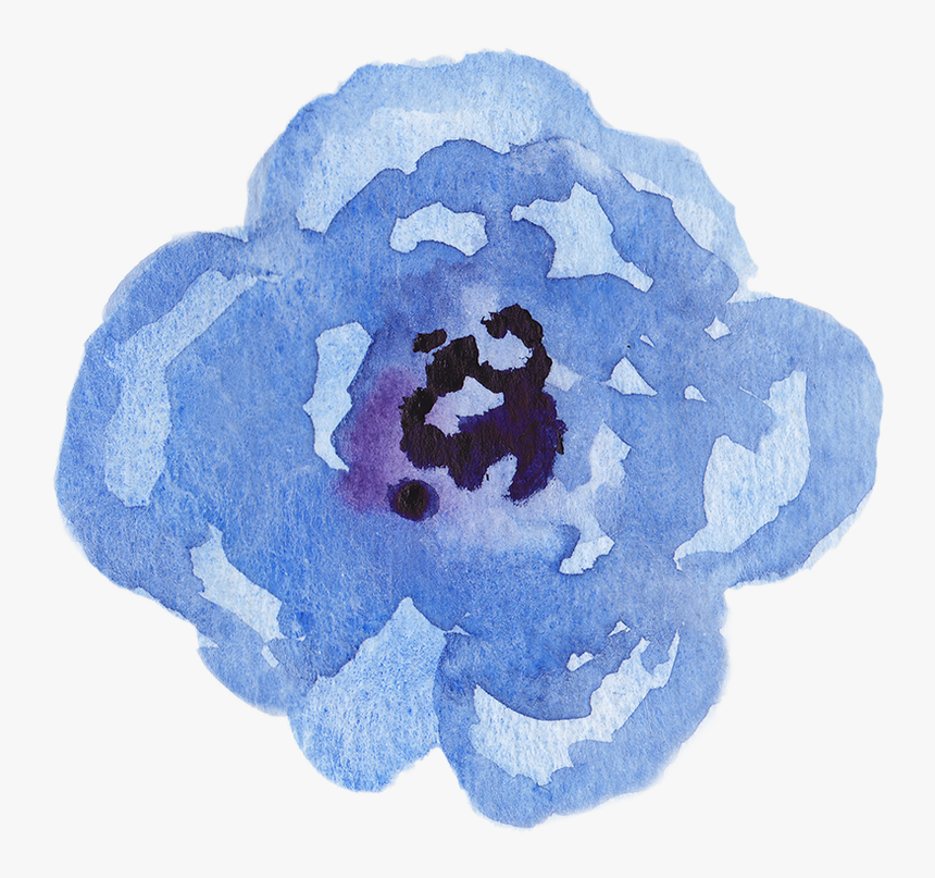 Picture - Rose, HD Png Download