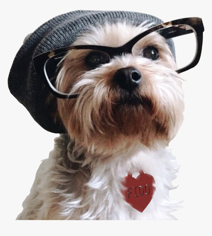 Hipster Dog, HD Png Download