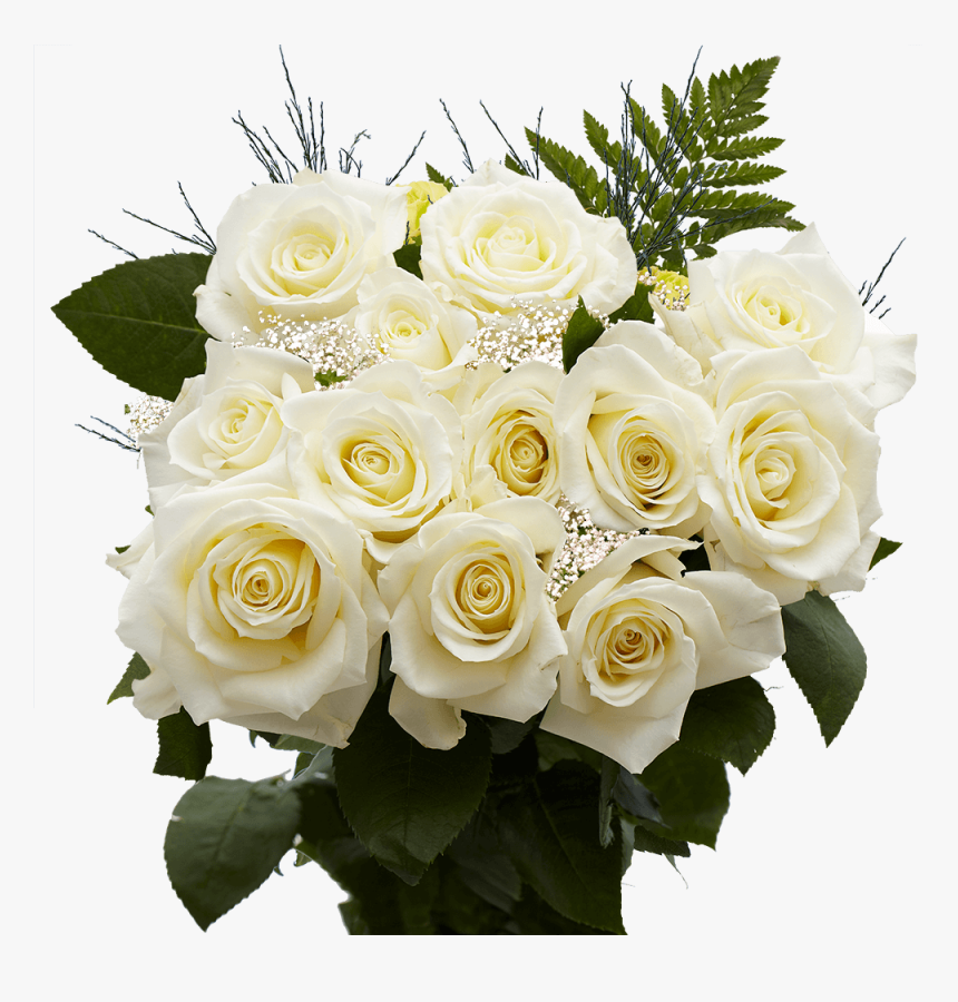 Imagens De Flores Magnificas, HD Png Download