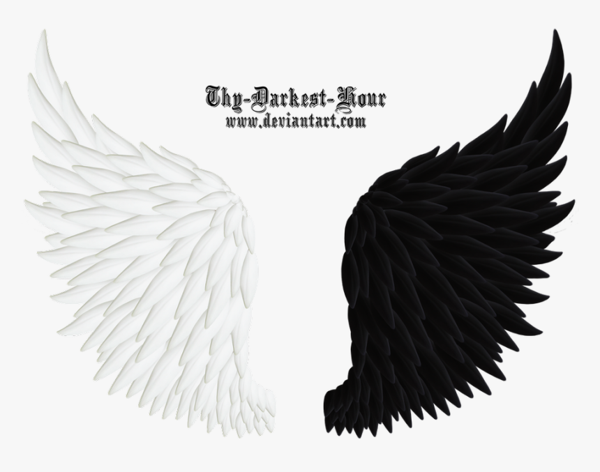 Glowing Angel Wings Png - Angel And Jinn, Transparent Png