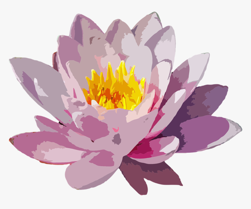 #watercolor #flower #watercolour #purpleflower #petals - Water Lily Vector Png, Transparent Png