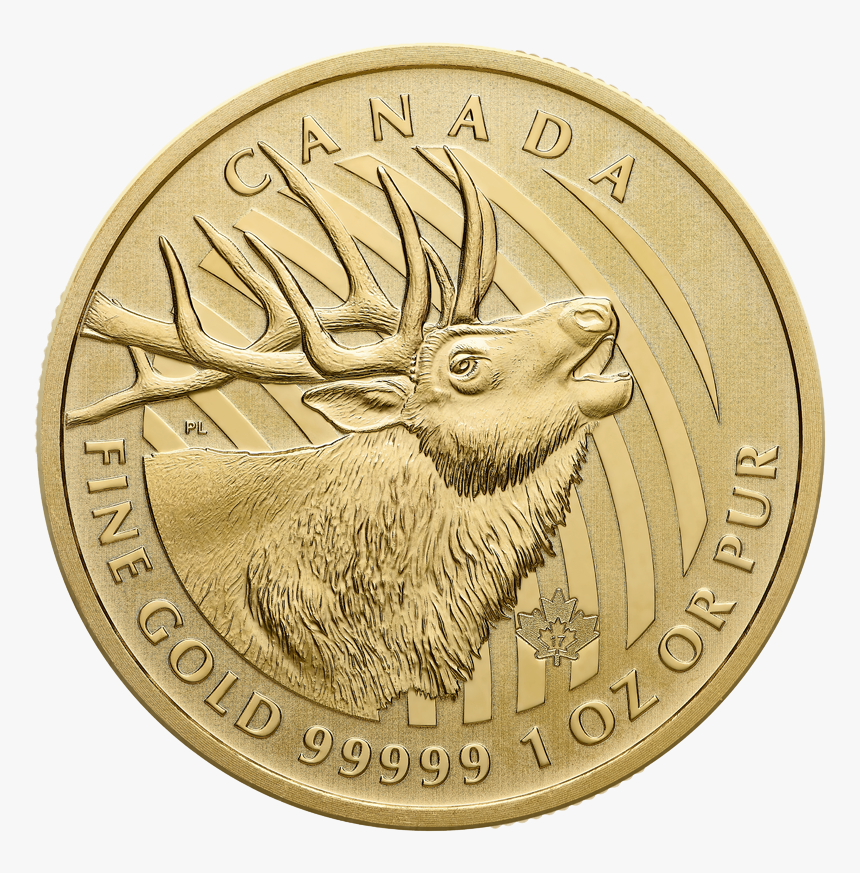 2020 Gold Maple Leaf Coin, HD Png Download