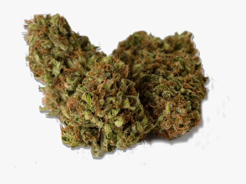 Weed Bud Png, Transparent Png