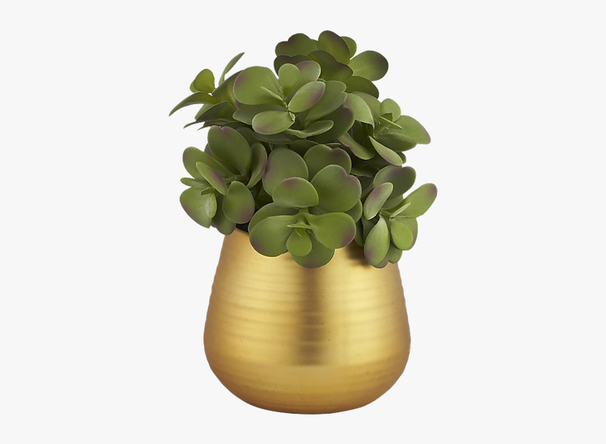 Flowerpot, HD Png Download