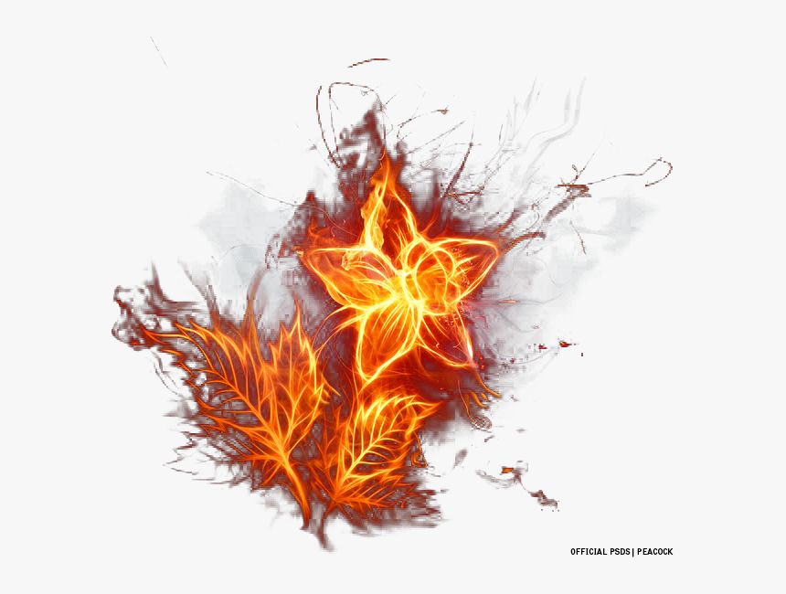 Transparent Fire Flower, HD Png Download