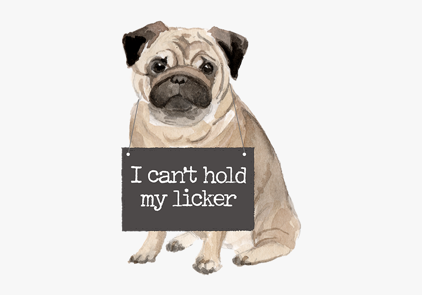 Watercolor Pug, HD Png Download