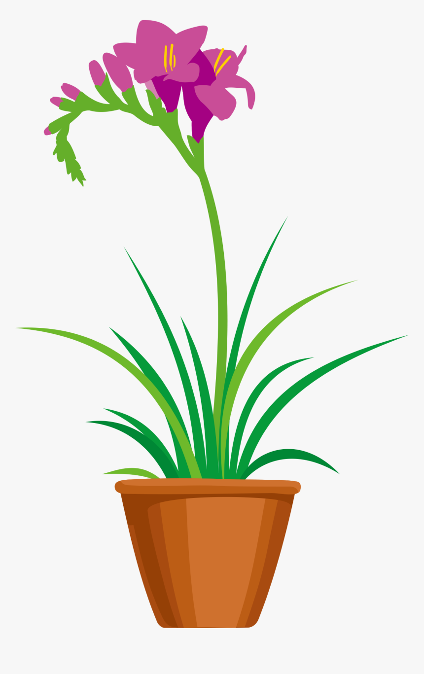 Lily, HD Png Download
