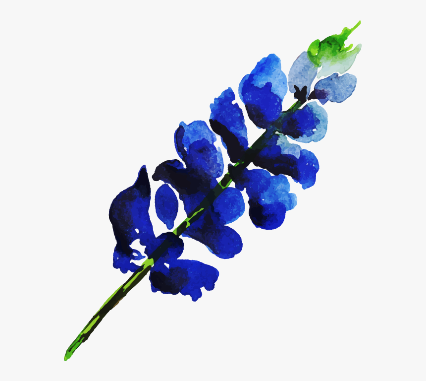 Delphinium, HD Png Download