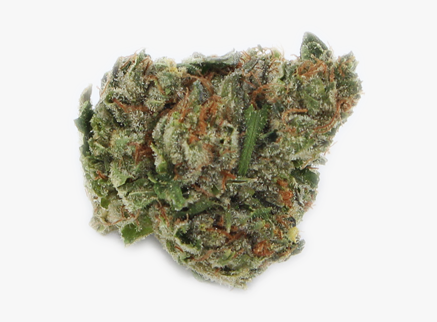 Moss, HD Png Download