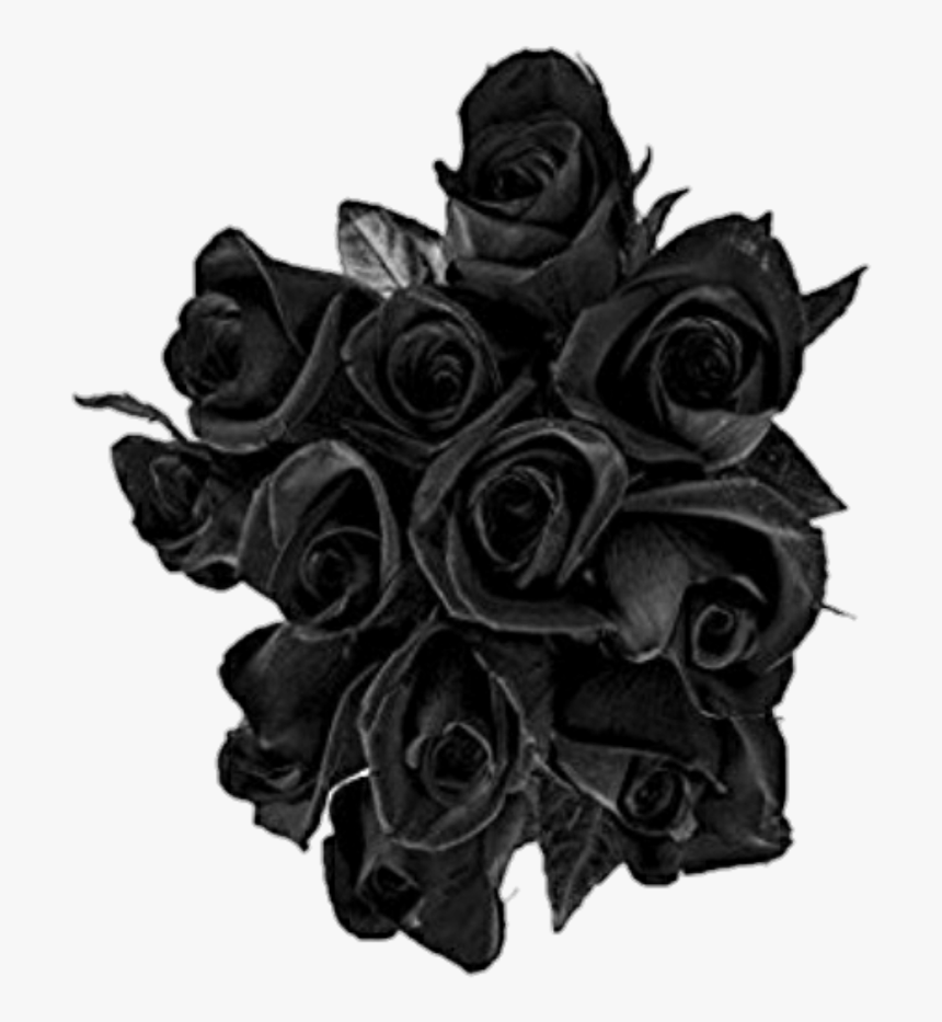 #black #rose #roses #buquet - Transparent Black Rose, HD Png Download